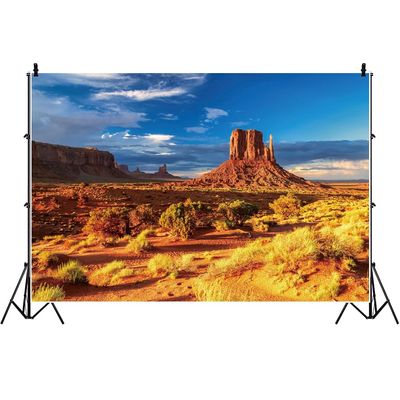 Ttincceer 2.2 x 1.5 m Wild West Yellow Rock Gobi Desert Photography Backdrop