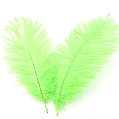 20 Colored Ostrich Feathers for Crafts, Natural Decorative Feathers, 20–25 cm, Green