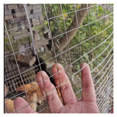 DTVEW 304 Stainless Steel Wire Mesh, 3 cm/1.5 mm, 23 in x 85 ft (0.59 x 26 m)