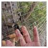 DTVEW 304 Stainless Steel Wire Mesh, 3 cm/1.5 mm, 23 in x 85 ft (0.59 x 26 m) view 1