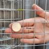 DTVEW 304 Stainless Steel Wire Mesh, 3 cm/1.5 mm, 23 in x 85 ft (0.59 x 26 m) view 3