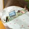 Expandable Transparent PET Bathtub Tray, Green view 4