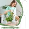 Indoor Metal Plant Trellis and Support view 4