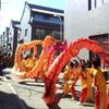15 m Silk Lion Dance Costume Head for 8 Players, Outdoor Parade and Chinese New Year view 4