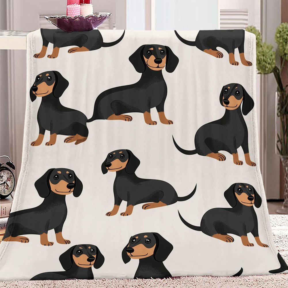 TradesForU Blanket, Cartoon Ballet Illustration, Printed Double-Flannel Blanket, 150 x 200 cm, Soft Lightweight Sofa and Bed Blanket for All Seasons, Children and Adults