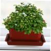 Sosoport 5-Piece Large Flower Pots with Saucers, Bonsai Planters for Garden and Balcony, for Flowers and Succulents, Durable and Elegant view 4