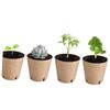 BESPORTBLE 50-Piece Round Paper Seedling Pots with Drainage Holes, Biodegradable Plant Containers for Seedlings and Flowers view 4