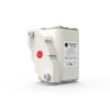 EGTDSFGJA RS306-01-S5P-350A1250V Fuse (315A) view 1
