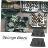 OFFSCH Hydroponic Sponges, 2 Pieces, Black Sponge for Soilless Vegetable Growing, Seedling Tray and Garden Table view 3
