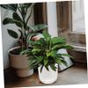 OFFSCH Self-Watering Hanging Plastic Planter, Large Diameter, Impact- and UV-Resistant view 4