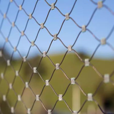 304 Stainless Steel Wire Rope Mesh, Balustrade Mesh for Flexible Cable Fence, Stairs and Fall Protection, Expandable Design, 8 cm, Color: 1.5 x 2 m