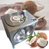 300W Electric Coconut Grater, 50–60 Pieces/Hour, Stainless Steel Commercial Shredder view 1