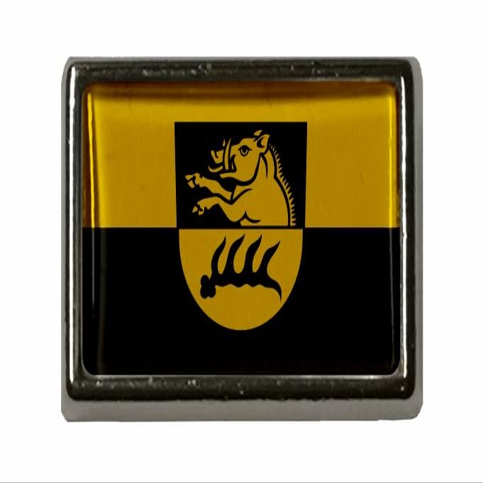 U24 Eberstadt Flag Pin