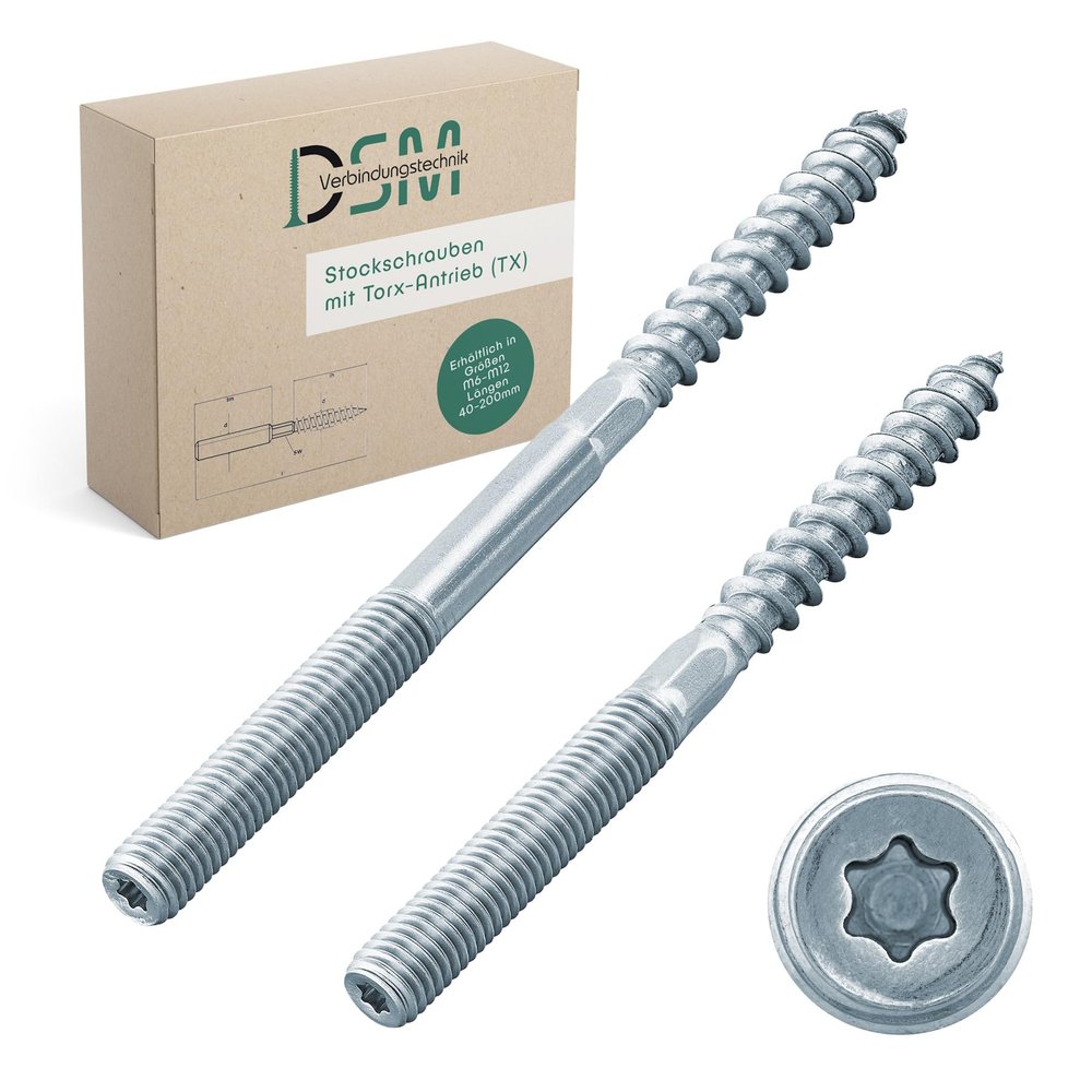 DSM M10 x 80 mm Hanger Bolt, 1 pc, Torx TX25, Galvanized