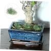 ibasenice Plastic Model Grass Clusters for Sand Tables and Miniature Scenes view 3
