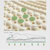 Generic 100% Natural Latex Mattress, Washable, Imported Pure Natural Rubber Mattress, 4 Inches, 90 x 200 cm (35 x 79 in) view 4