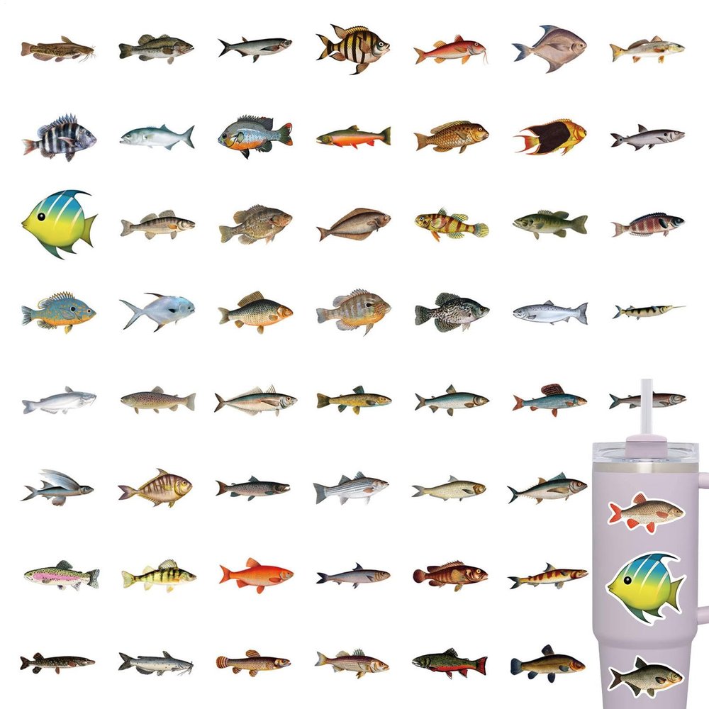Sea Fish Stickers, Funny Fish Stickers | Vista T Print 110X