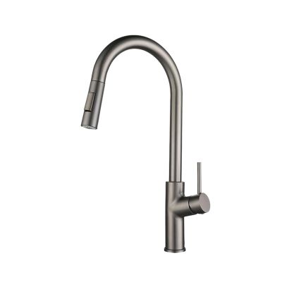 Pull-Down Kitchen Faucet, Single-Handle, 360° Swivel, Stainless Steel, Gray