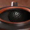 Floral Chinese Teapot with Filter and Creative Handle view 4