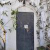 Metal Rose Vine Trellis for Climbing Plants, Semicircular Garden Arch, White, 150 x 21 x 147 cm view 2