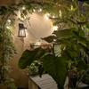 Metal Rose Vine Trellis for Climbing Plants, Semicircular Garden Arch, White, 150 x 21 x 147 cm view 4