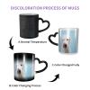 Funny Labrador Heat-Sensitive Color-Changing Ceramic Coffee Mug, 330 ml view 3