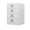 Lockable Metal Filing Cabinet with Adjustable Shelves and 4 Drawers for Home and Office view 1