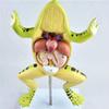 Frog Anatomy Model, Animal Skeleton and Organ Anatomy Teaching Display Model view 4