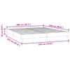 vidaXL Box Spring Bed Without Mattress Black 200x220 cm Velvet view 3