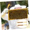 Supvox 2-Piece Hive Scraper with Wooden Handle, Beekeeping Tool view 4