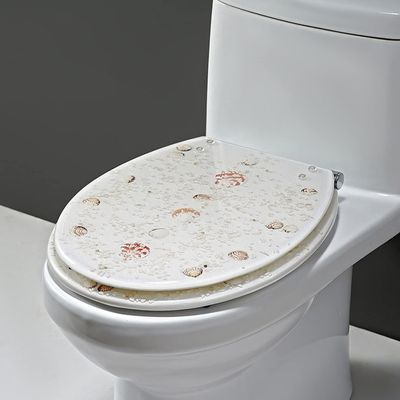Oval Resin Toilet Seat, Soft-Close, Quick-Release, Adjustable Hinges