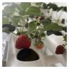 Vertical Hydroponic Garden Growing System view 3