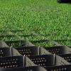 Polyethylene Grass Paving Grid for Driveways, Landscaping and Slopes, 5 m x 6 m view 1