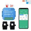 Fangxuee Tuya WiFi Bidirectional Energy Meter with CT Clamp, App Monitoring, 80A, Alarm, 2 Channels - 2 CTs view 2