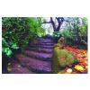 Family Friends After Rain, Trees Decorative 1000-Piece Paper Puzzle for Kids, 52 × 38 cm view 1