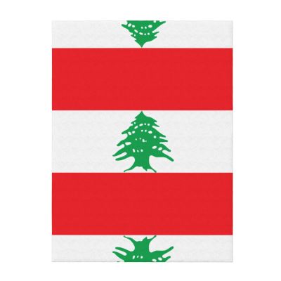WZYCWB Lebanon Flag Flannel Children's Blanket, 127 x 101.6 cm