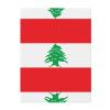 WZYCWB Lebanon Flag Flannel Children's Blanket, 127 x 101.6 cm view 1