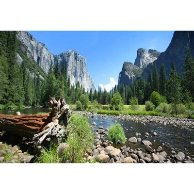 Aoihrraan 9 x 6 ft Nature Landscape Photography Backdrop, Mountain River Pine Forest