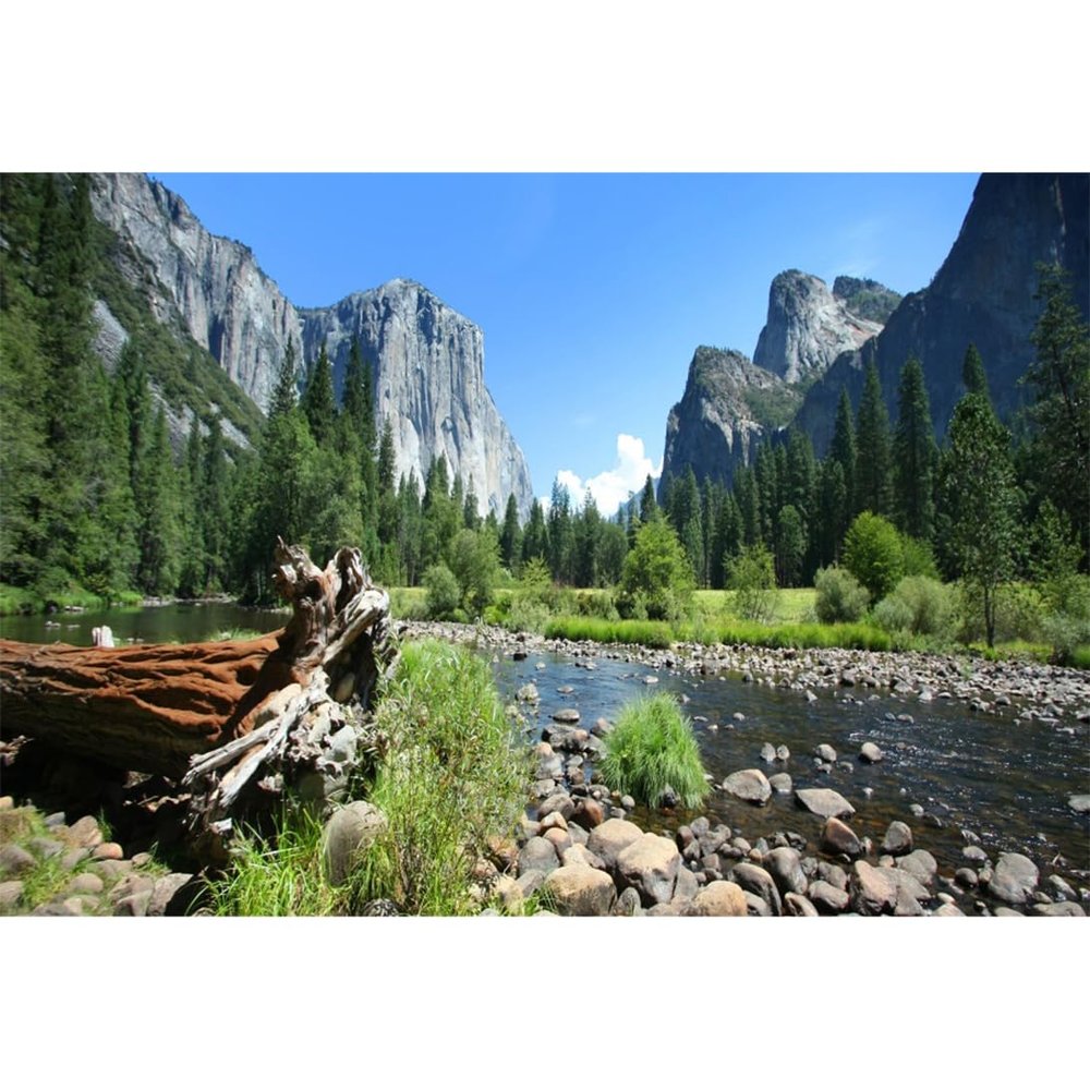 Aoihrraan 9 x 6 ft Nature Landscape Photography Backdrop, Mountain River Pine Forest