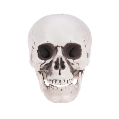 IMIKEYA Halloween Plastic Skull Decoration, Realistic Skull