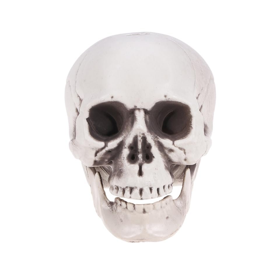IMIKEYA Halloween Plastic Skull Decoration, Realistic Skull