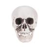 IMIKEYA Halloween Plastic Skull Decoration, Realistic Skull view 1