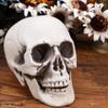 IMIKEYA Halloween Plastic Skull Decoration, Realistic Skull view 2