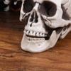 IMIKEYA Halloween Plastic Skull Decoration, Realistic Skull view 3