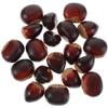 VICASKY Artificial Chestnuts, 20-Piece Realistic Food Models view 1