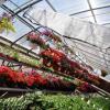 Aluminum Shade Net, 75% UV Protection, Breathable, for Gardens and Greenhouses view 3