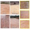 WQZzjm Professional Polyurethane Concrete Stamp Mat, Wood Plank Texture, Wood Grain 3/5 view 4