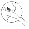 Sosoport Plant Support Frame for Potted Flowers and Vines, 1 Piece, Black Iron view 1
