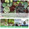 Sosoport House-Shaped Resin Succulent Planter, Decorative Flower Pot with Fine Details, 50 cm view 3