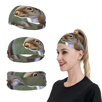 Little Squirrel Sports Headbands for Men and Women, Moisture-Wicking Sweatbands